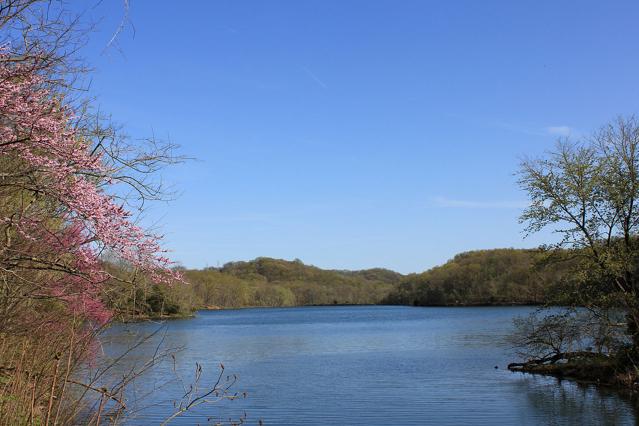 Radnor Lake State Natural Area